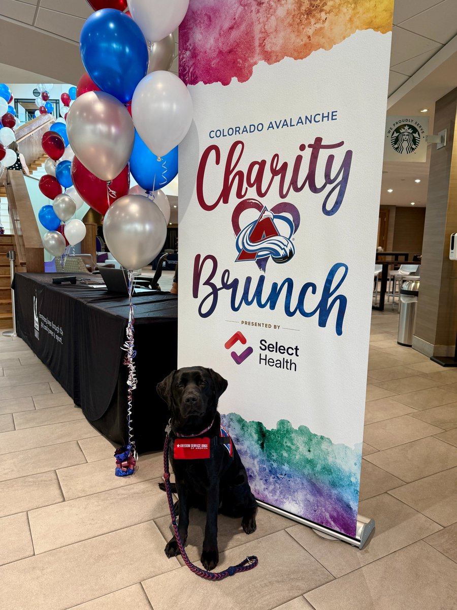 Freedom Service Dogs tweet media