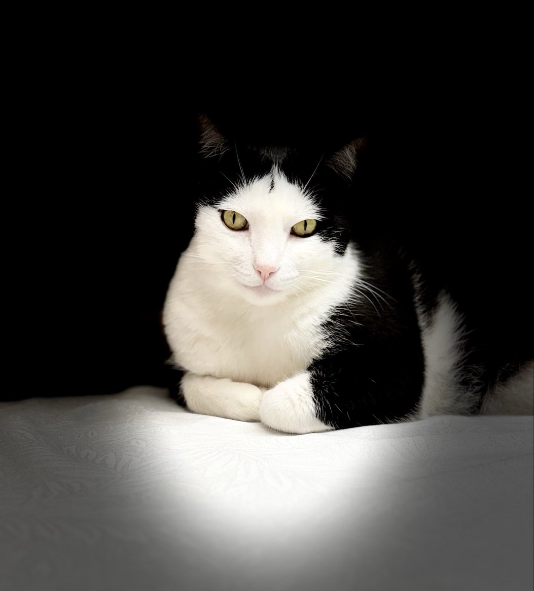 Allan Cunha tweet media