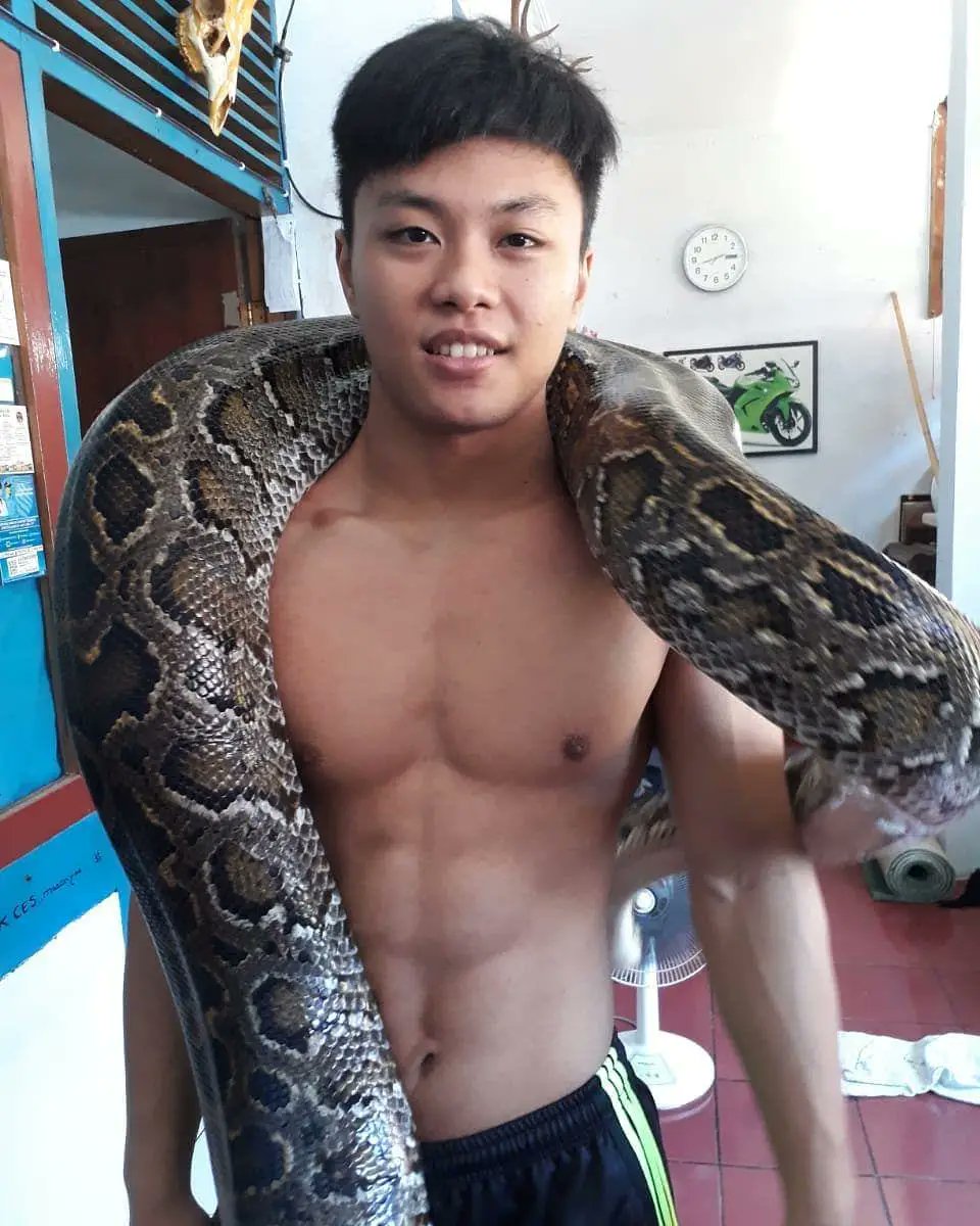 Rahmat Erwin holds a giant python... ❤️ 🔥 🐍