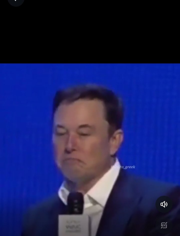 Wild Things tweet media