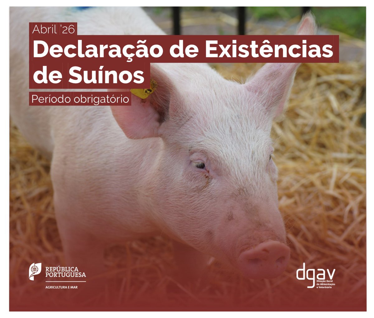 DGAV - Direção-Geral de Alimentação e Veterinária tweet media