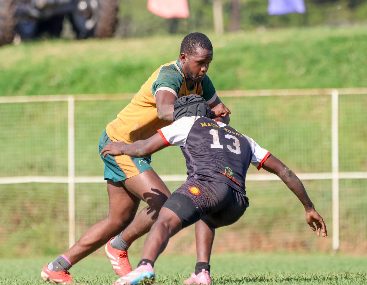 Macosians! tweet media