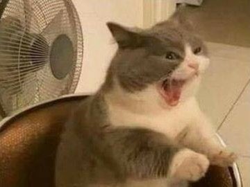 ุงูู
ููููุฑุฒูุง ุนููููููู tweet media