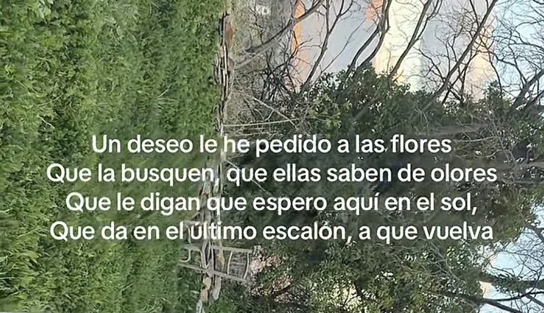 Kalopsia tweet media