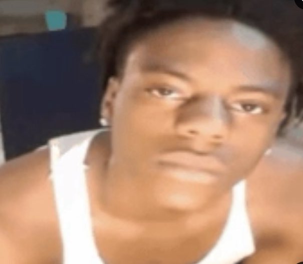 ella boingy tweet media