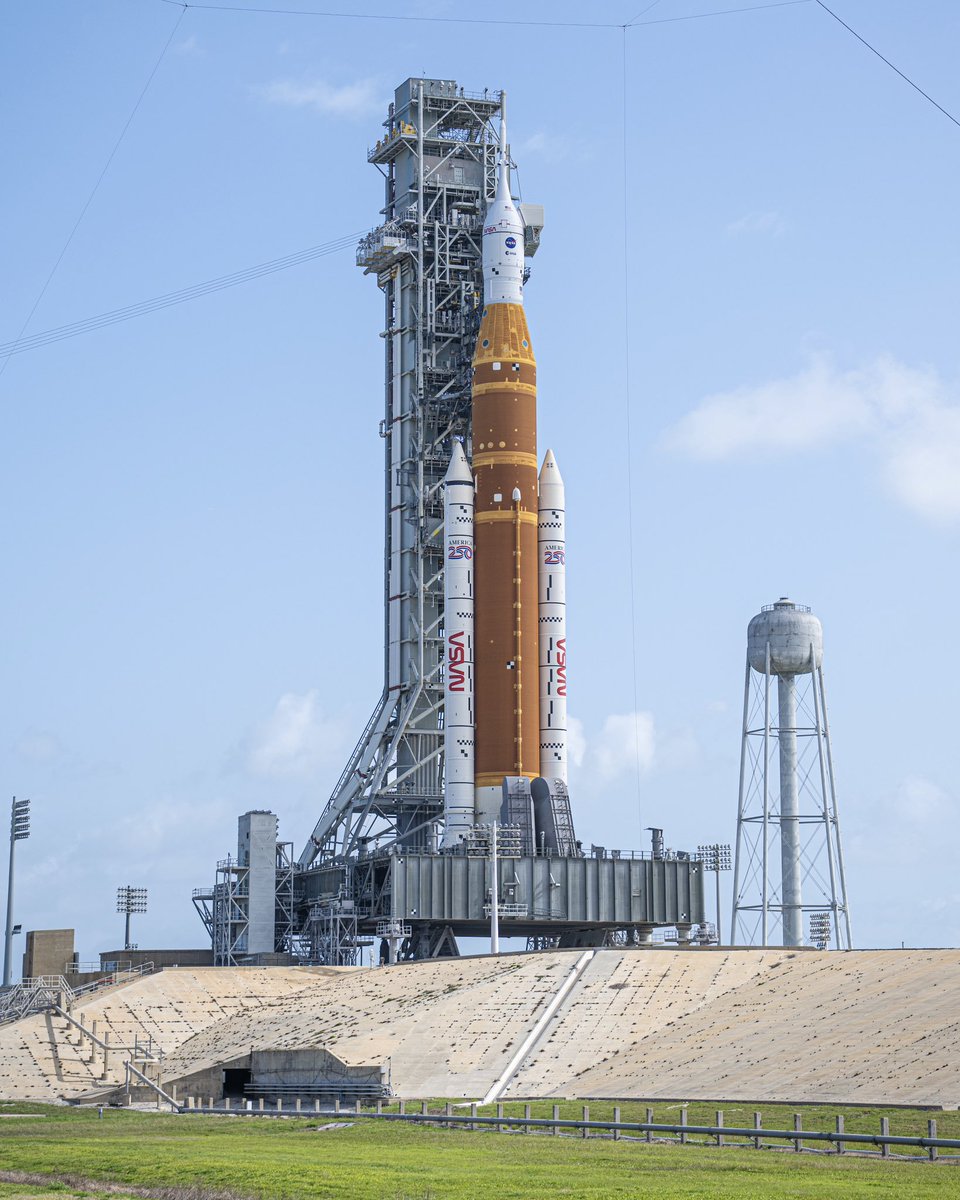 Tom Finnell tweet media