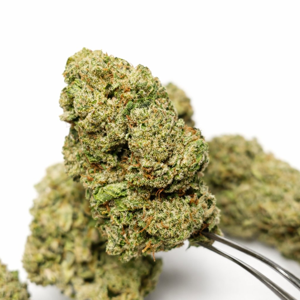 CannaCompareTHC's tweet photo. 🔥 ESSENTIAL TIER BLOWOUT! EVERYTHING MUST GO! LIMITED STOCK!
1 OZ → $39
2 OZ → $70 💨
Budget gas, solid potency, priced to move.
Limited stock — once it’s gone, it’s gone ⚡
Shop now 👉 https://t.co/xebyHVeXXk https://t.co/sNQcUTOZrh