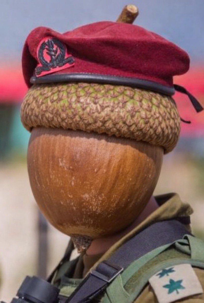 Yariv Rosenstein tweet media