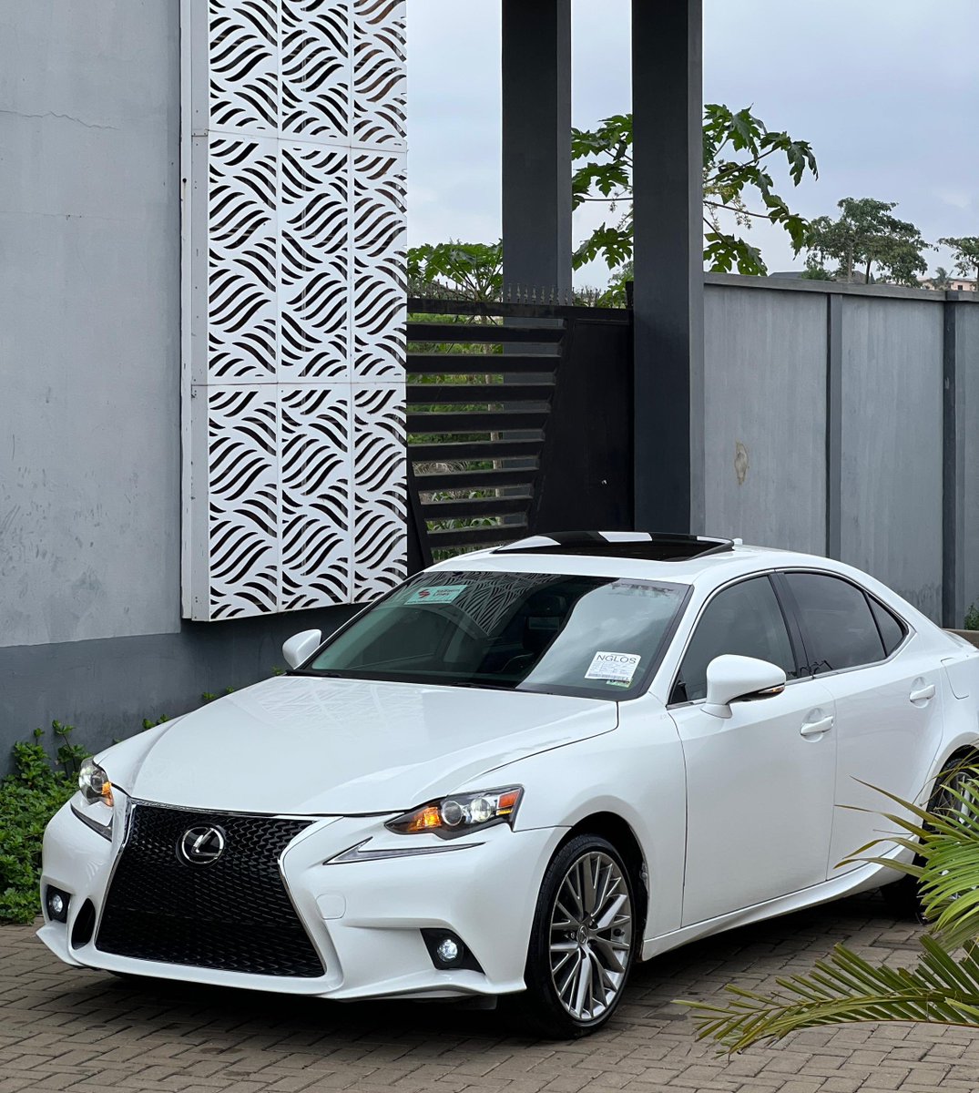 Autorush tweet media