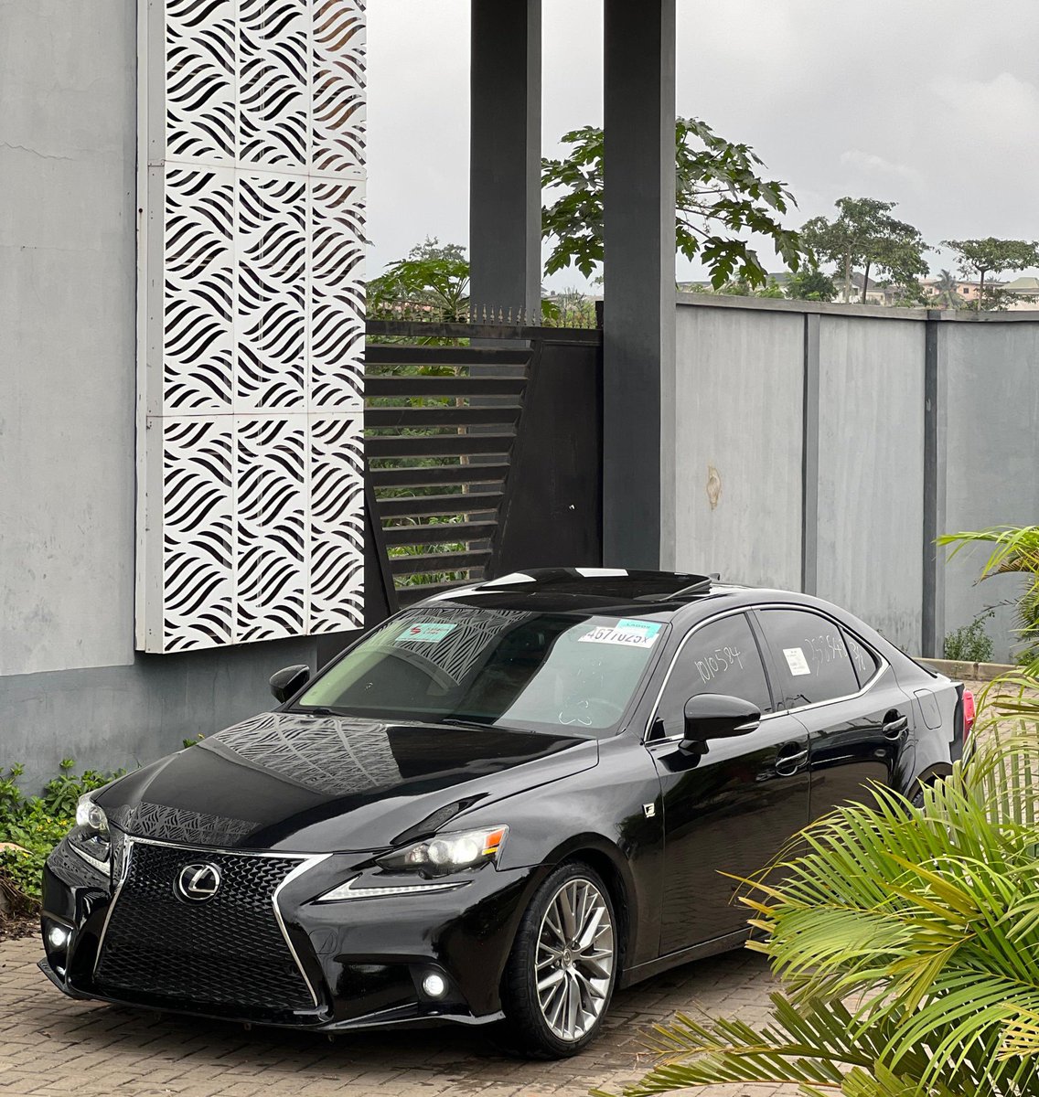 Autorush tweet media