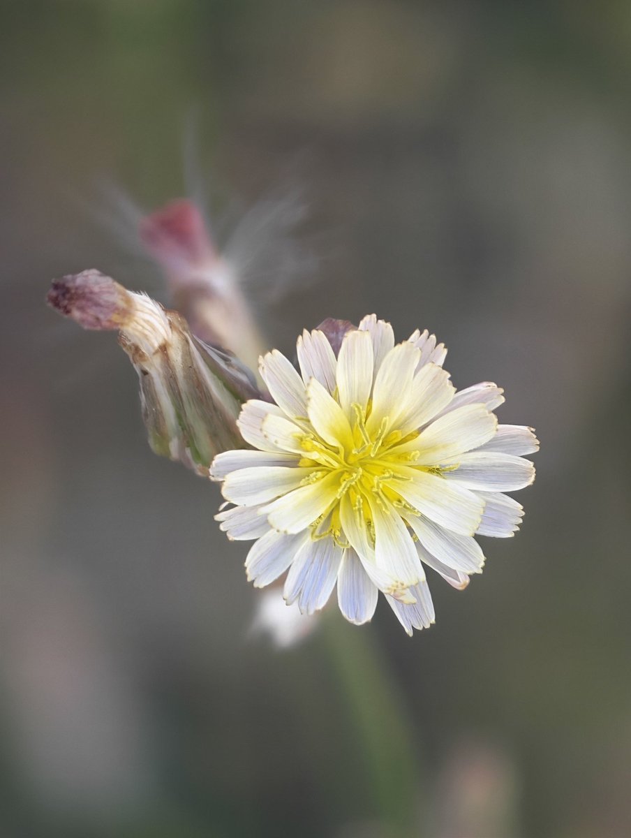 عادل محمد tweet media