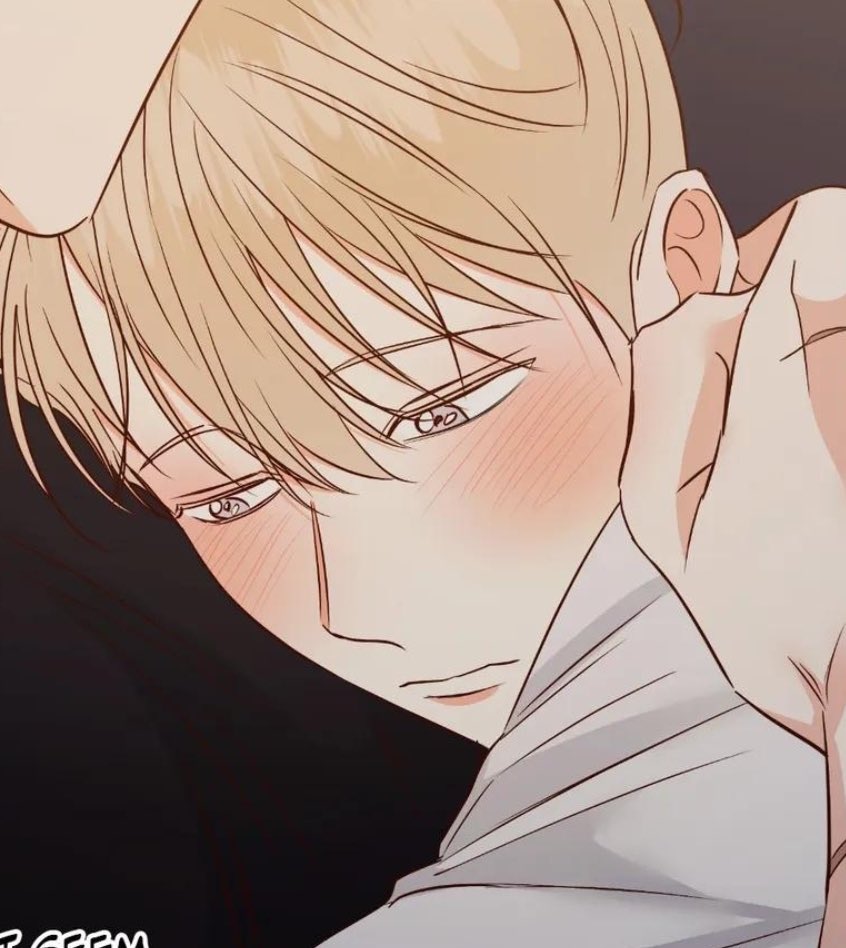 🐈‍⬛ tweet media