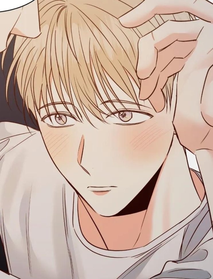 🐈‍⬛ tweet media