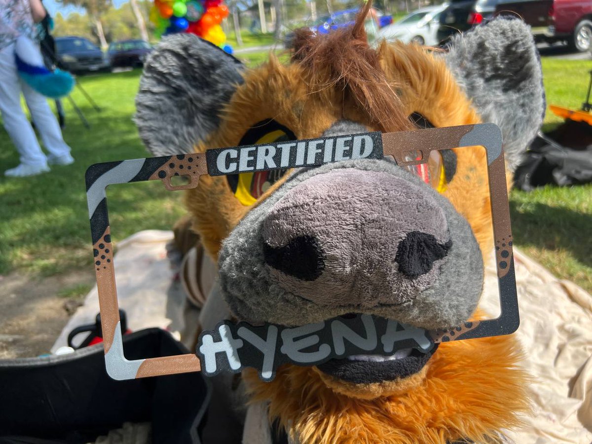 Coby (and Ruvi the Mint Fox) tweet media