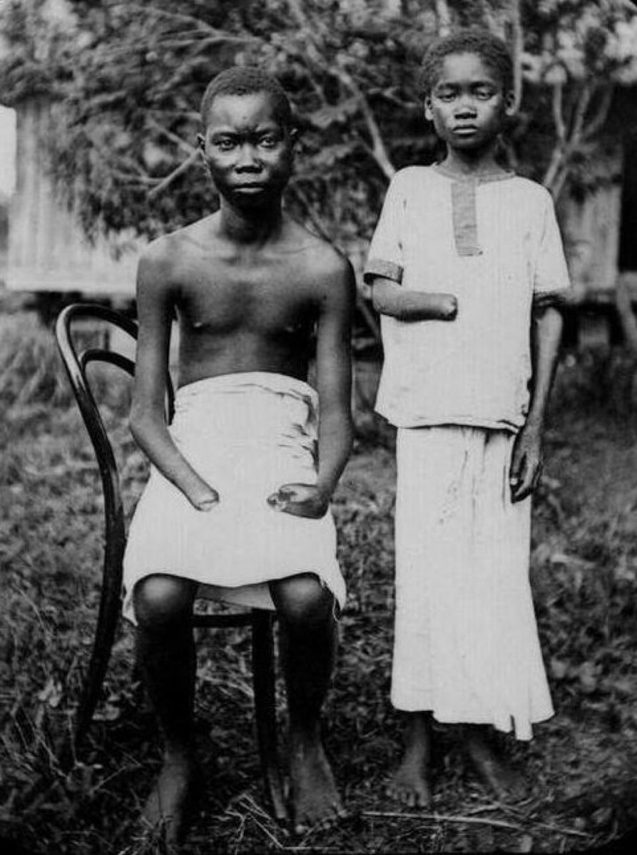 Knowledge Bank tweet media