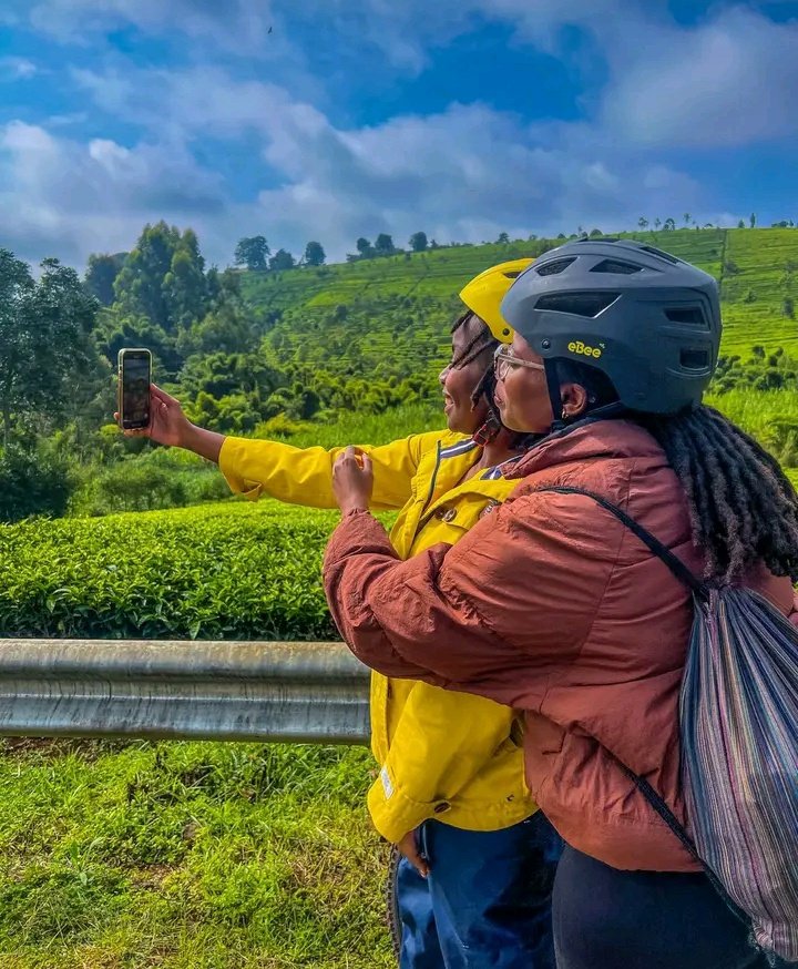 WildCanvas tweet media