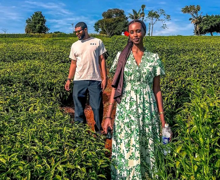 WildCanvas tweet media