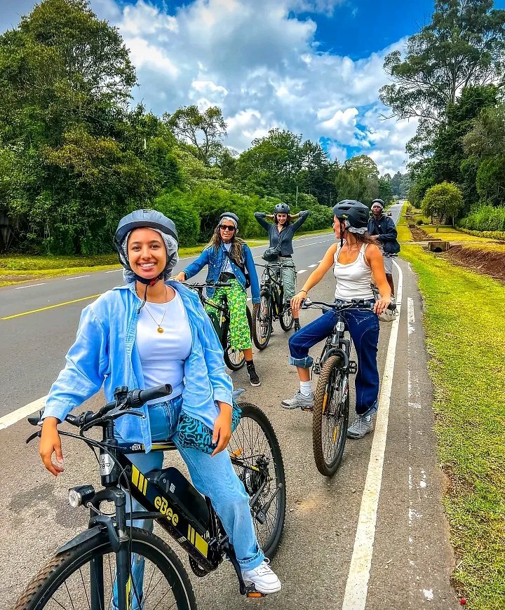 WildCanvas tweet media