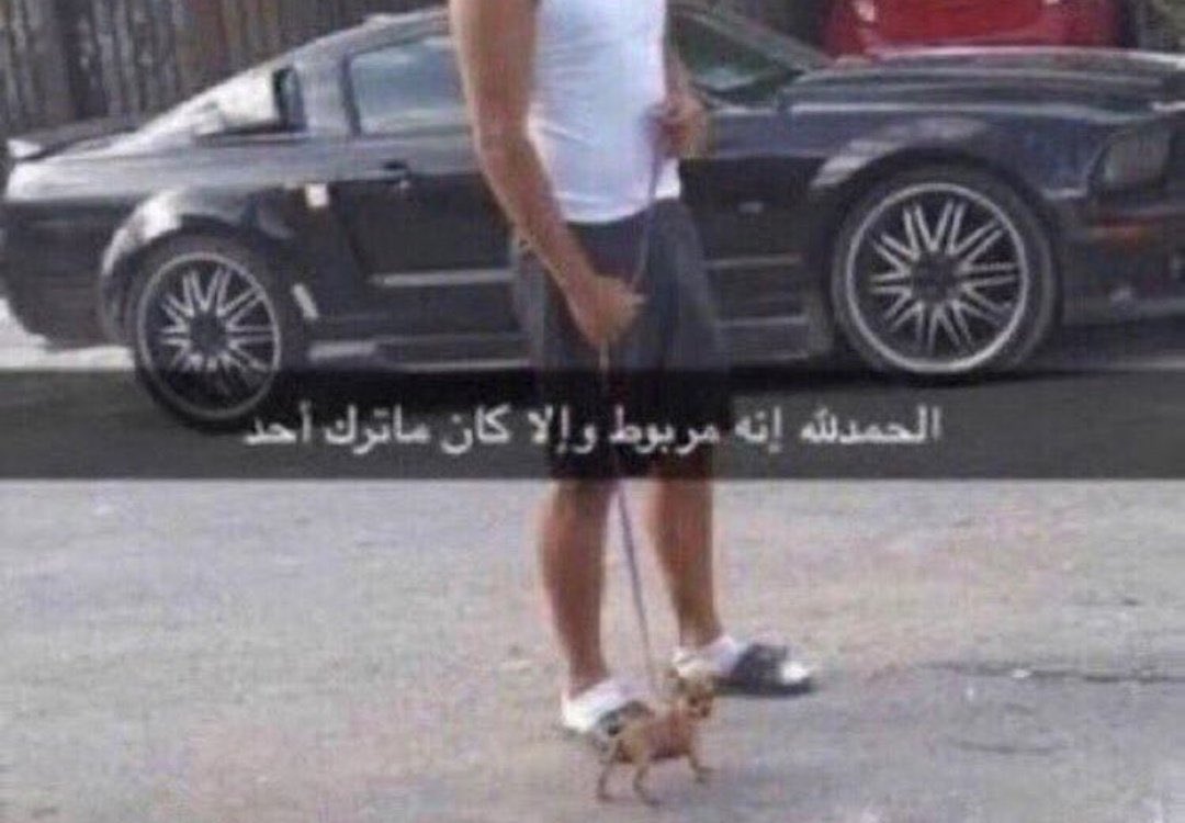 هدوي tweet media