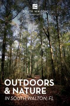 The Beach Life tweet media