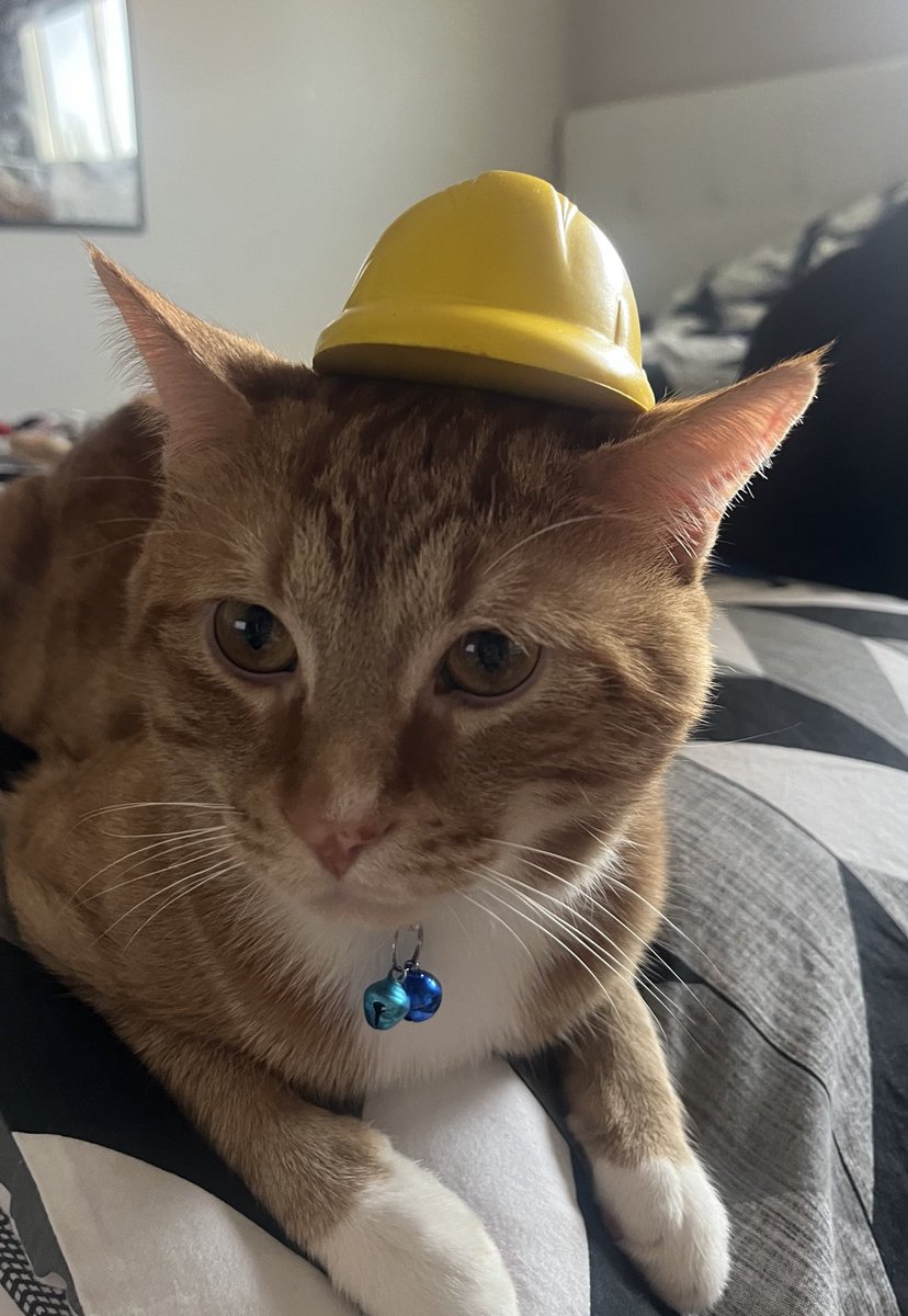 sockmoments's tweet image. foreman says get back to work #mondays