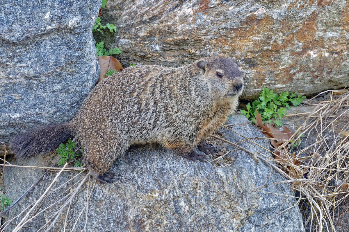 EJ Bartolazo tweet media