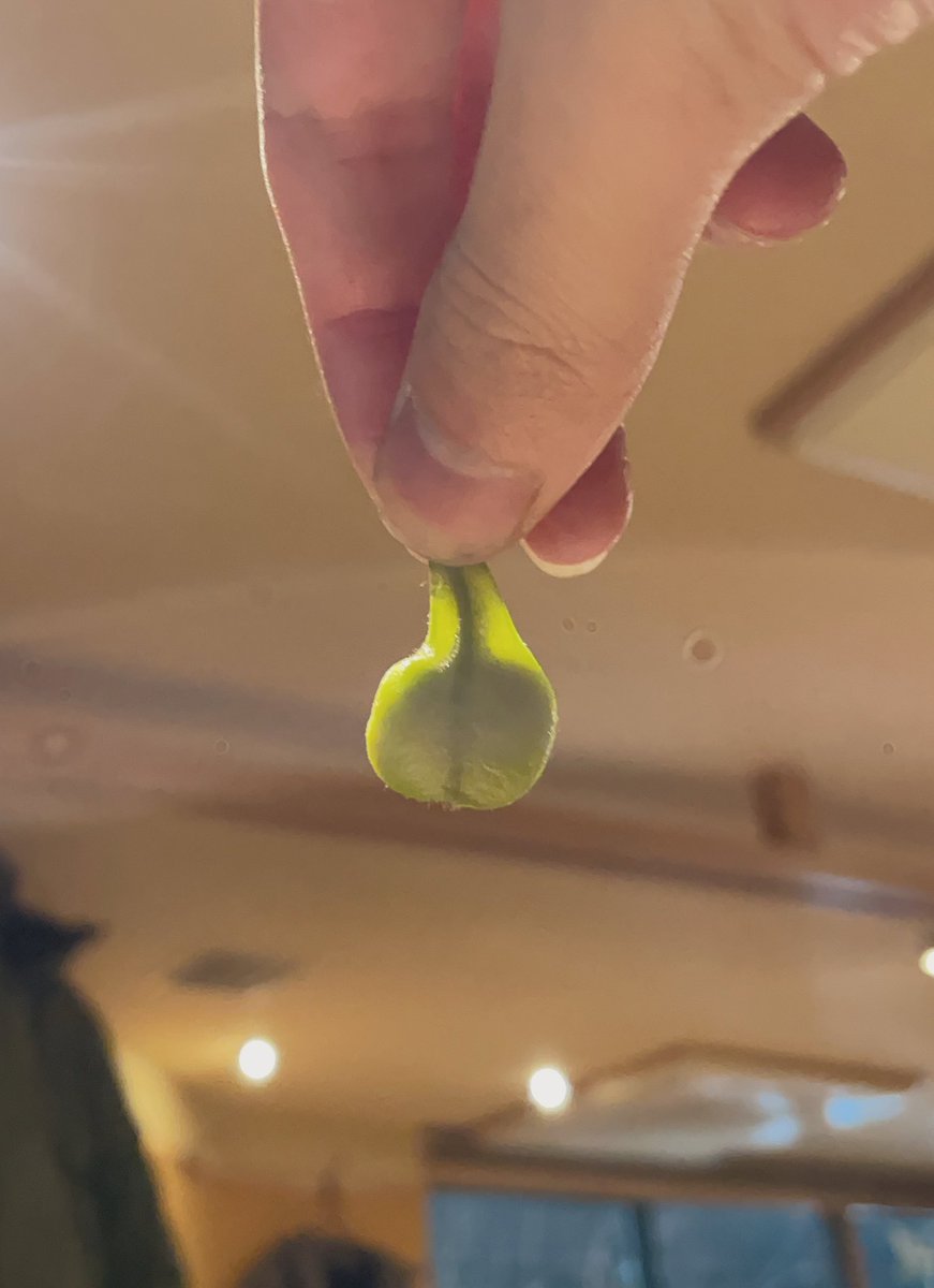 えるざ tweet media