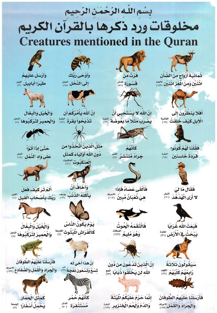 HaithamAlwazir's tweet photo. مخلوقات ورد ذكرها في القرآن الكريم https://t.co/Jykp5NYh0X