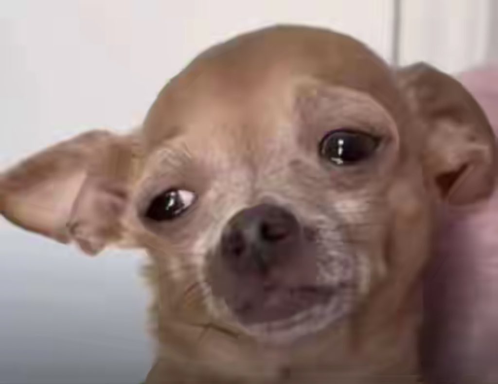 TREASURE🤍 tweet media