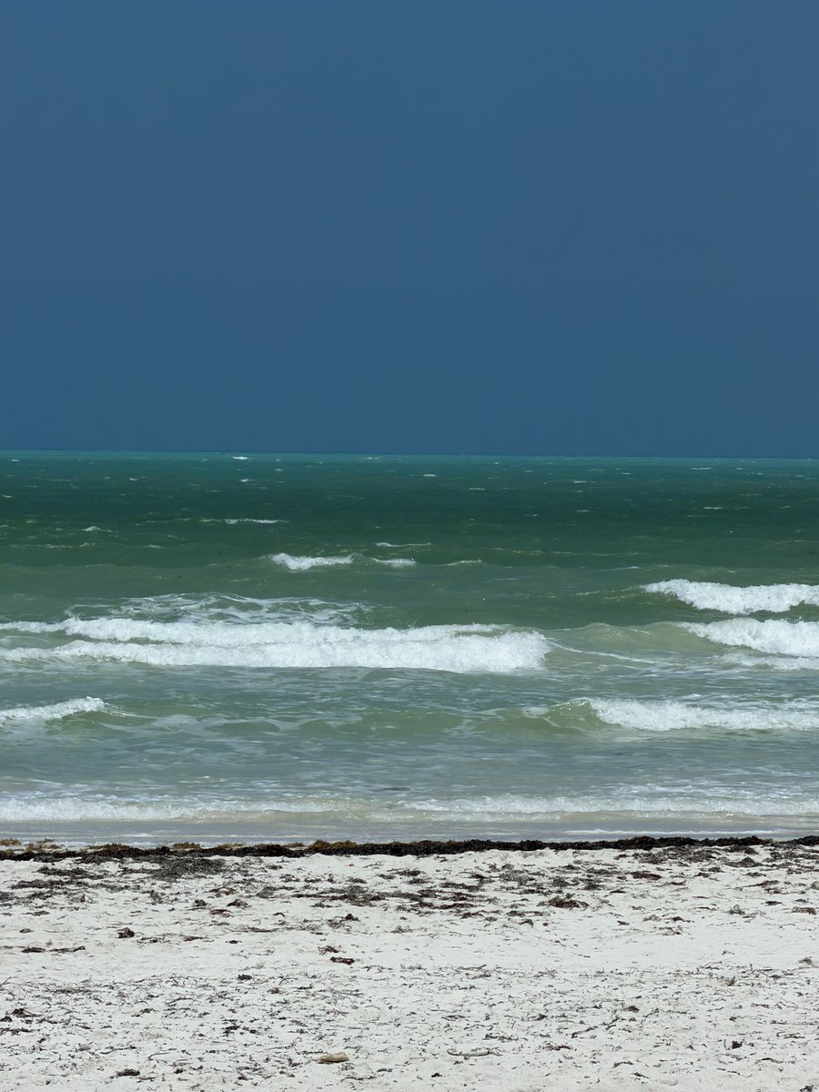 dieguito tweet media