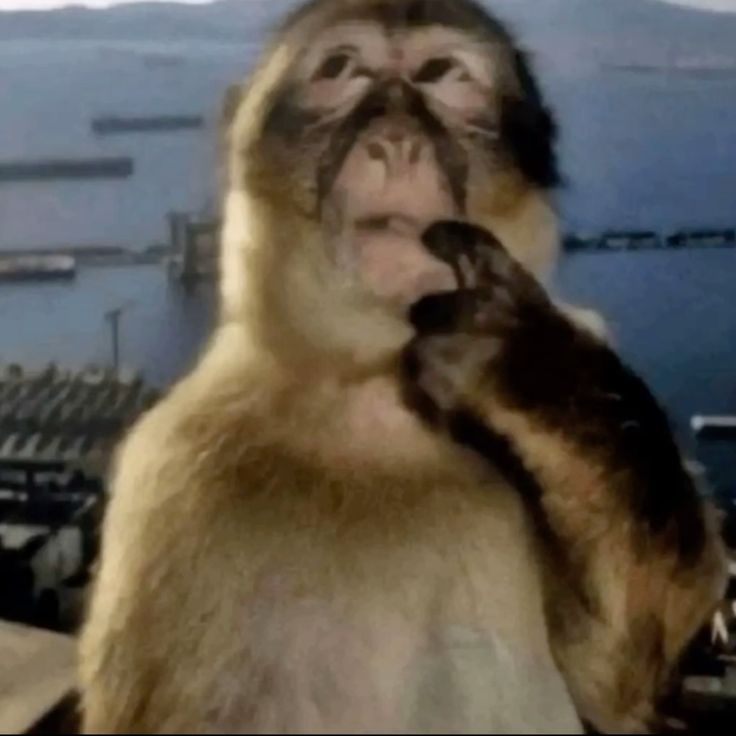 reverie⁷⊙⊝⊜🦢*⁠.⁠✧🪭 tweet media