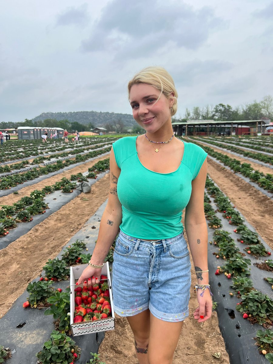 Gabbie Carter ଘ(੭ˊ꒳​ˋ)੭✧ tweet media