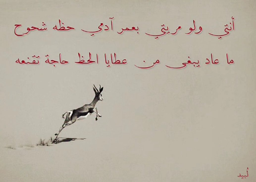 ⁪⁬⁪⁬⁮⁪⁬⁪⁬⁮ ⁪⁬⁪⁬⁮⁪⁬⁪⁬⁮ ⁪⁬⁪⁬⁮⁪⁪⁬⁪⁬⁮⁪⁬⁪⁬َ (@u7inii) on Twitter photo 