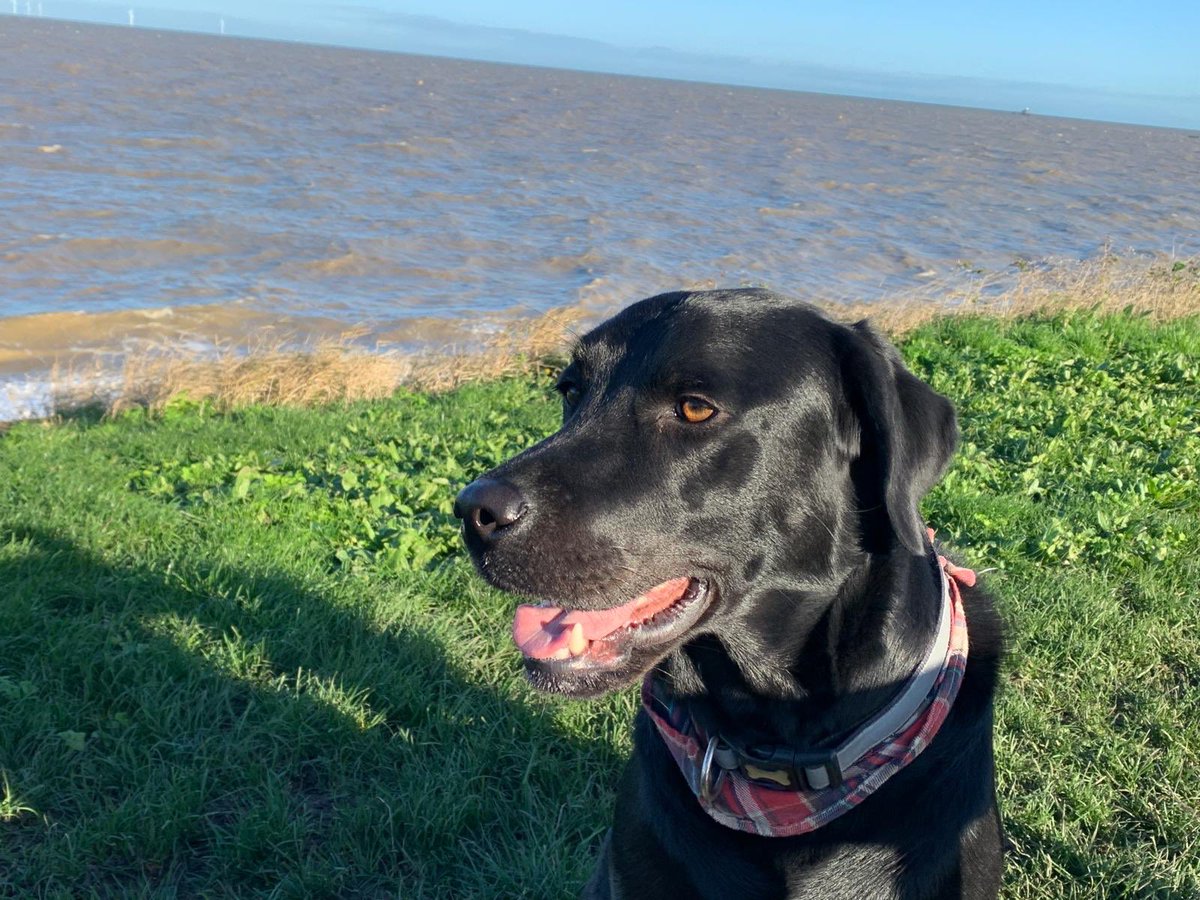 Stella Doves🦖 🇬🇧 💚🤍💜 tweet media