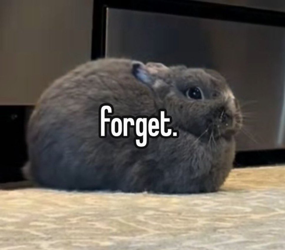 kan lovely 🐰 ྀིྀིྀི tweet media