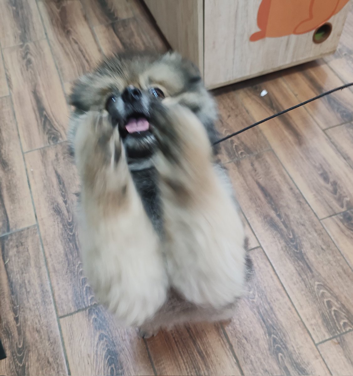 BadAngryPanda tweet media