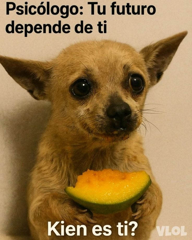 MAR 🌴 🇪🇦 tweet media