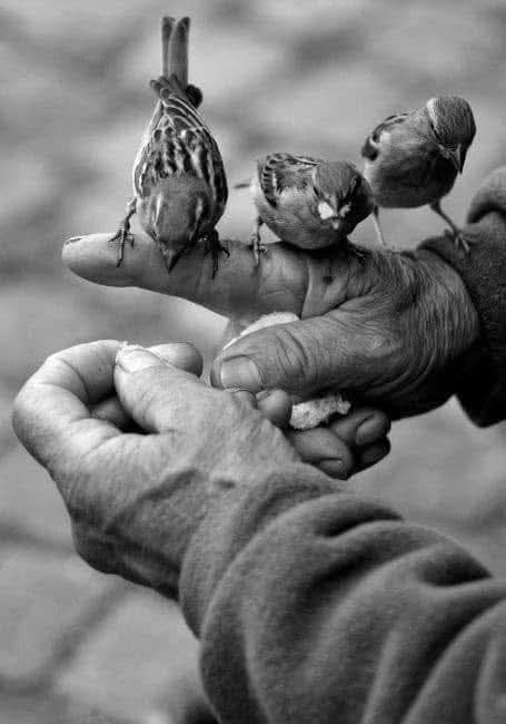 karşıyakalı tweet media