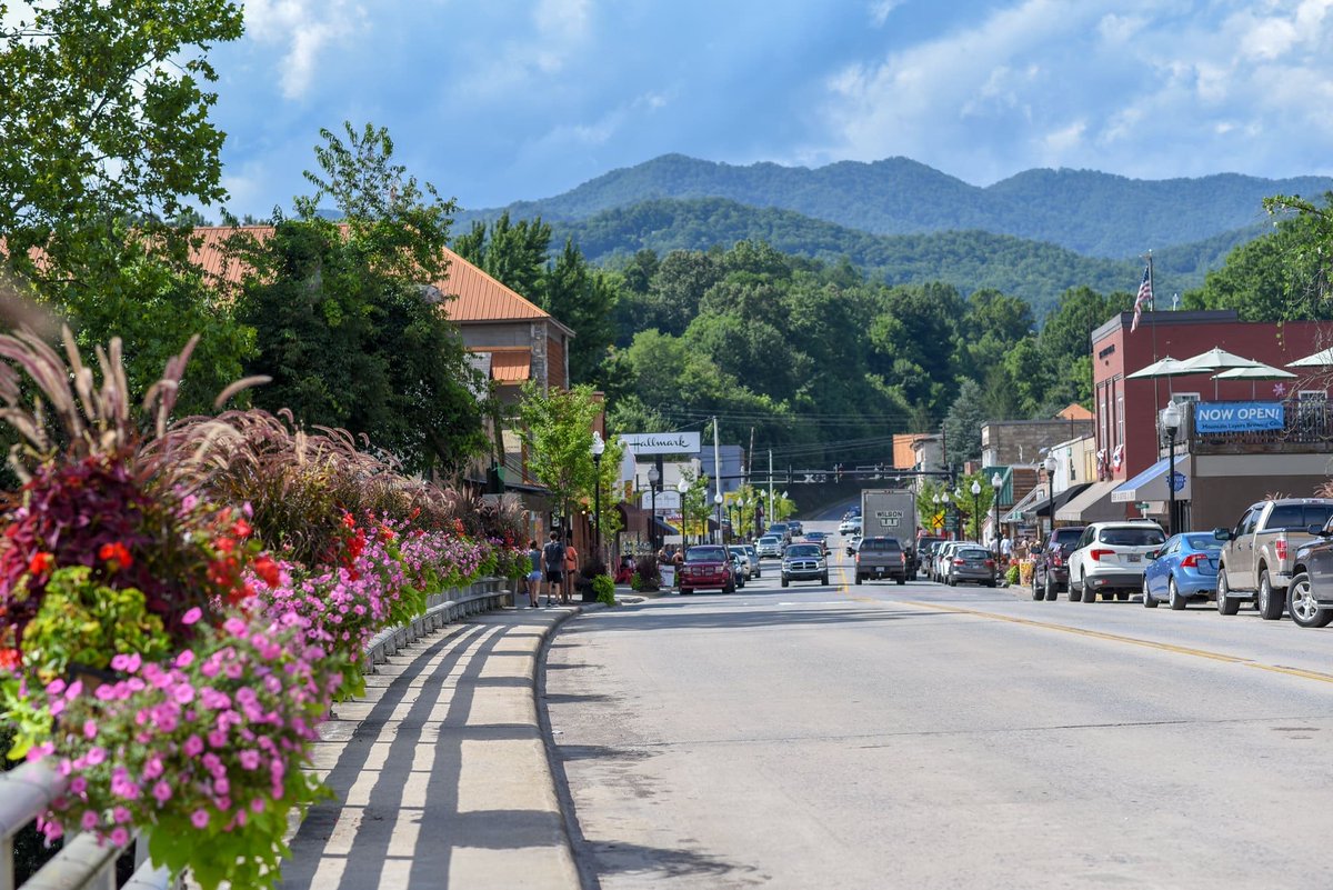 Buffalo Dan tweet media