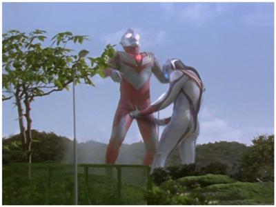 buzzhead tweet media