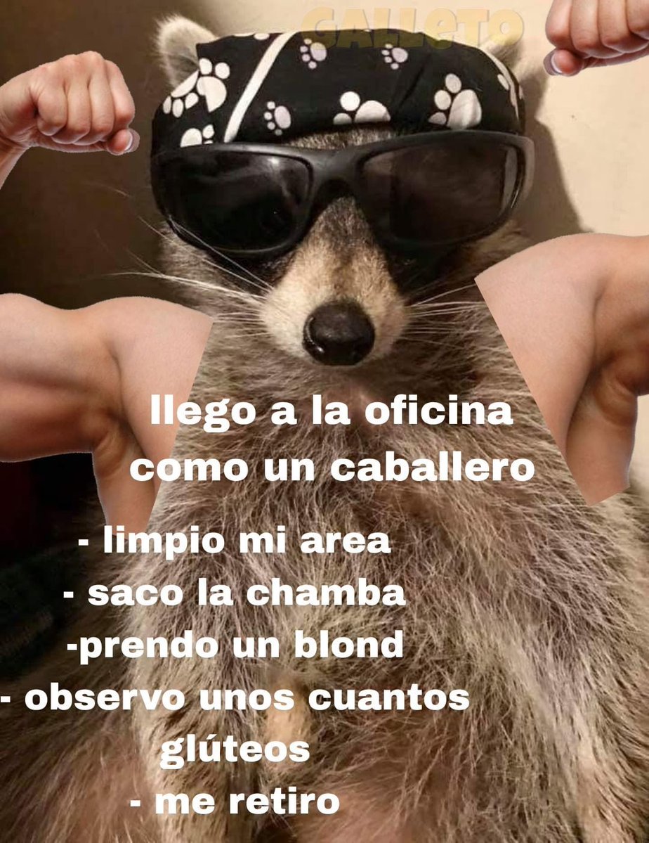 The Crazy Morro tweet media