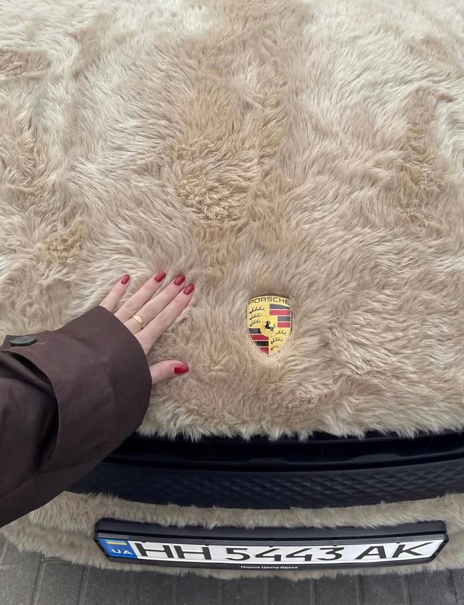 𝚂𝚔𝚗𝚎𝚛𝚞𝚜 tweet media