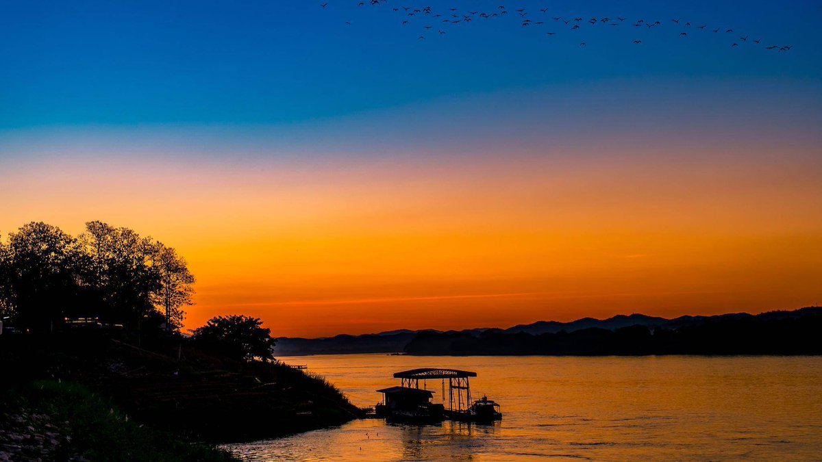 charlie maunder tweet media