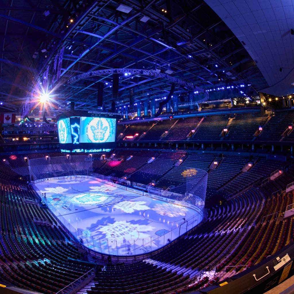 Tie Domi's Left Fist tweet media