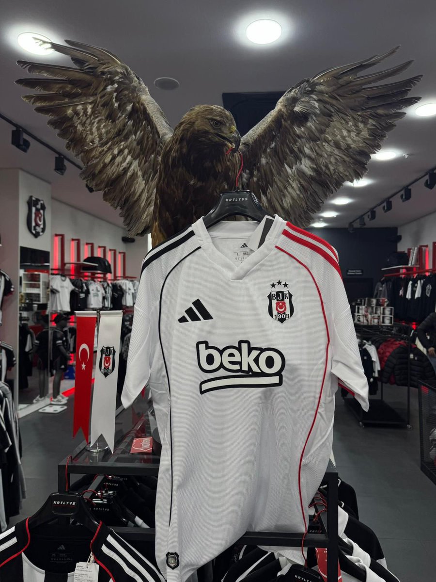 Kuzeyincocukları tweet media