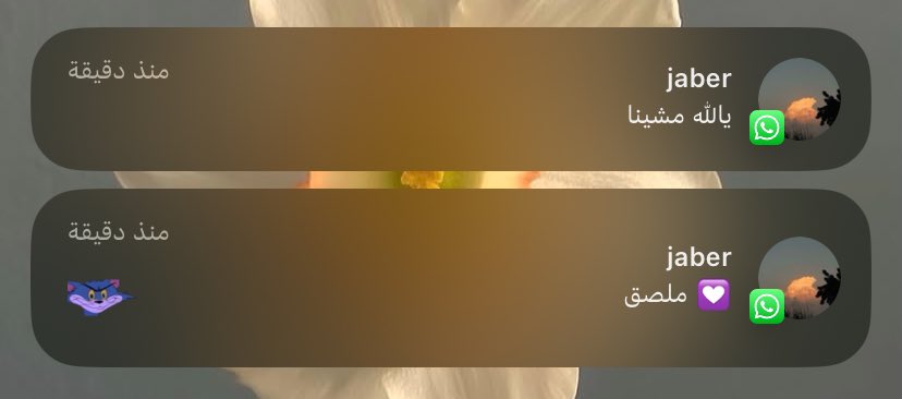 عائشه. tweet media