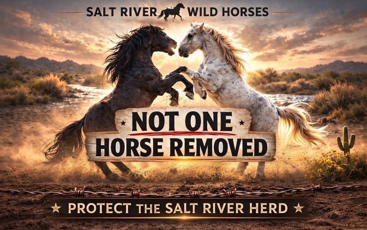 SANDRA🟦🟧NEVER OPEN INSTAGRAM DM LINKS tweet media