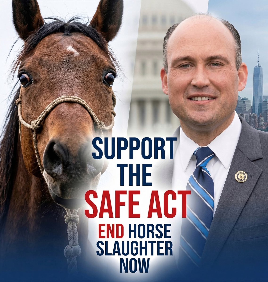 SANDRA🟦🟧NEVER OPEN INSTAGRAM DM LINKS tweet media