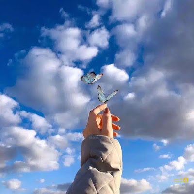 𓆩  𓆪 tweet media