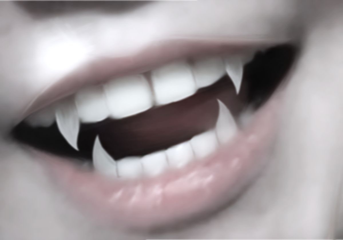 три дня пиротехники с муккой tweet media